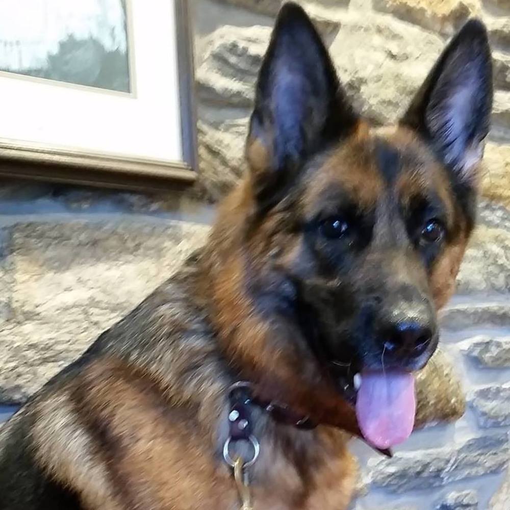 Meet your Posher, Janet